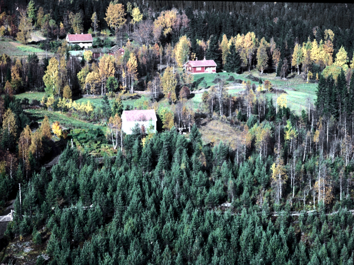Widerøes Flyveselskap A/S, FLYFOTO BAKKETUN, ÅSVANG. Bakketun ble satt opp i 1951 av Kari og Edvin Blystad. Kari døde i 1988, men Edvin eide stedet helt til han døde i 2001. Mats Vemnes kjøpte det i 2002, men i april 2012 ble det solgt til Kari og Edvins datter, Oda Ingjerd Blystad. Det hvite huset midt på bildet er Bakketun…
