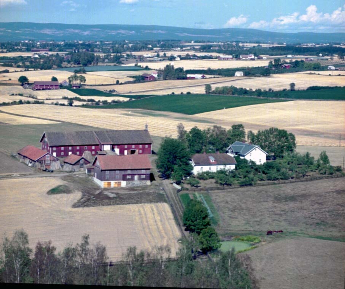 Widerøes Flyveselskap A/S, Veen gård, Stange. Gnr. 81, bnr. 1. Flyfoto.
