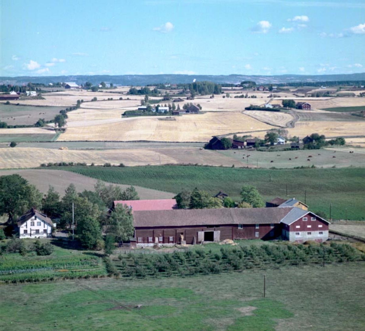 Widerøes Flyveselskap A/S, FLYFOTO ALM ØSTRE GARD, STANGE