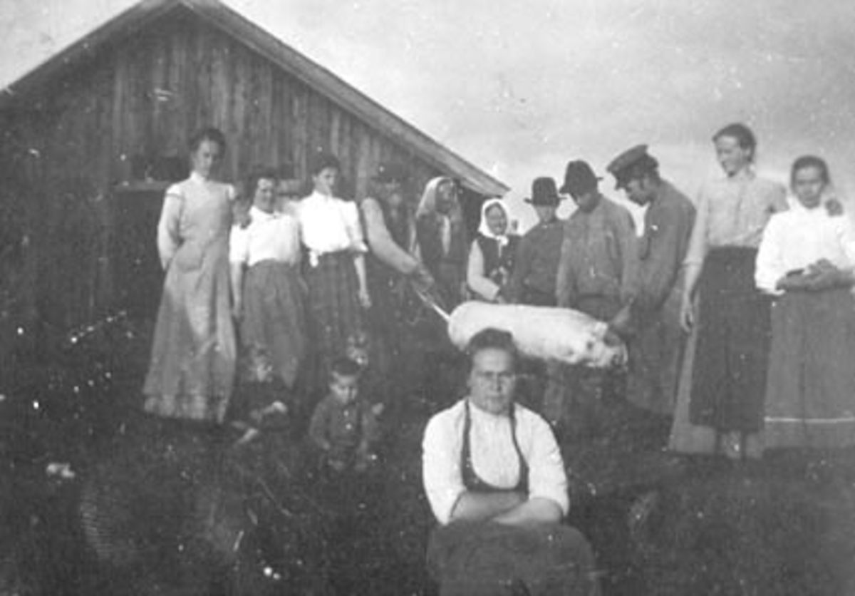 Anno Domkirkeodden, SLAKTING AV GRIS, GRUPPE: 15 VOKSNE OG BARN, FALDRØNNINGEN ?, NR. 4 FRA VENSTRE: LARS STRUPERUD, INGER STRUPERUD, OLINE FALDRØNNINGEN, UKJENT, UKJENT, UKJENT, SLAKTER SANSYNLIGVIS: PER MÆHLUM, RESTEN UKJENTE, SITTENDE FORAN: LYDIA LARSEN, VALLSET