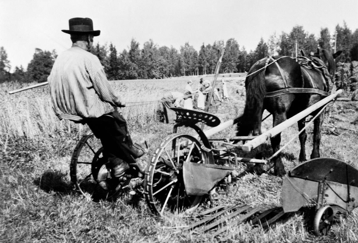 Anno Domkirkeodden, SKURONN, KASPER ANDERSEN AMUNDRUD, SLÅMASKIN TRUKKET AV HEST, AMUNDRUD, VALLSET