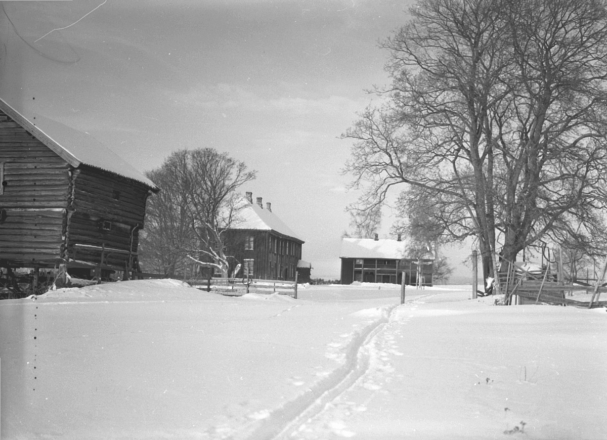 Anno Domkirkeodden, EKSTERIØR: GARDSTUN RINGNES GÅRD, VINTER