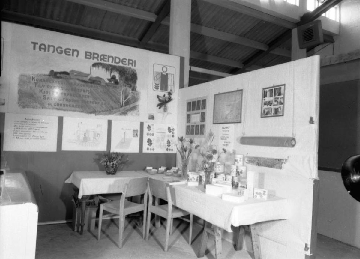 Anno Domkirkeodden, STANGE BYGDEUTSTILLING, UTSTILLINGSPLASSEN, HAMAR, TANGEN BRÆNDERI