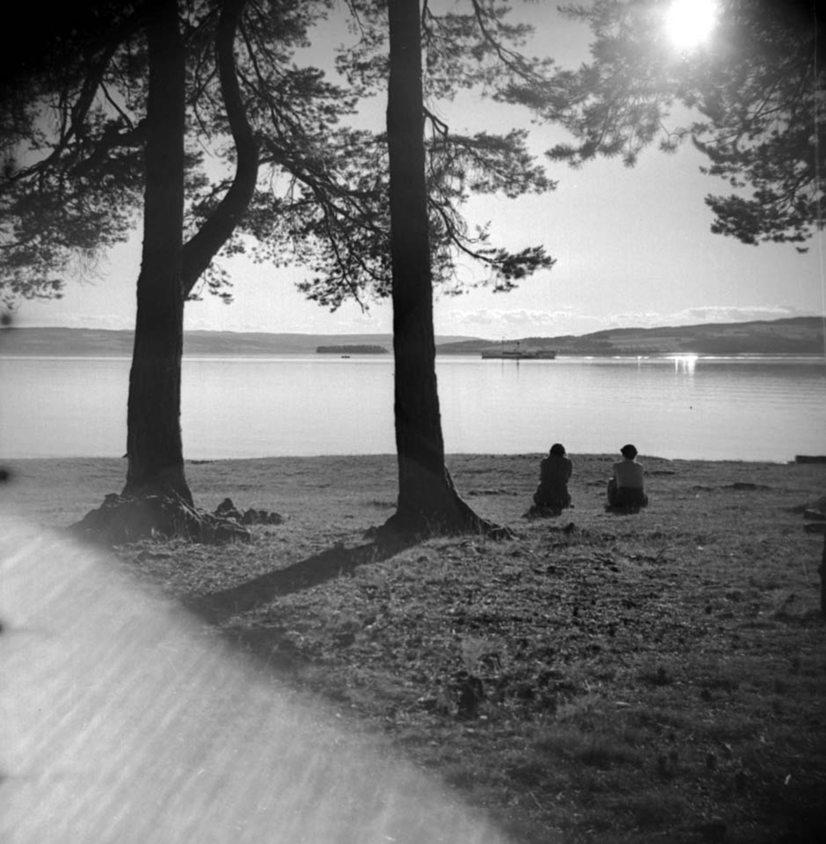 Anno Domkirkeodden, HESTENEBBEN, STRAND UNDER VEEN GÅRD, SKIBLADNER, MJØSA