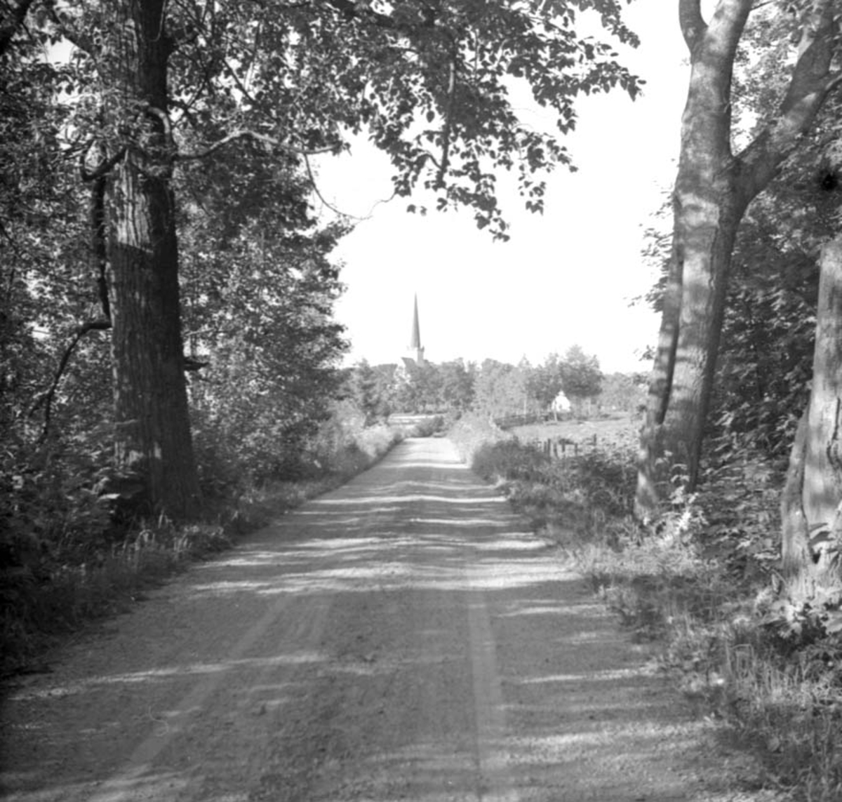Anno Domkirkeodden, OVERSIKT, VEG MOT STANGE KIRKE