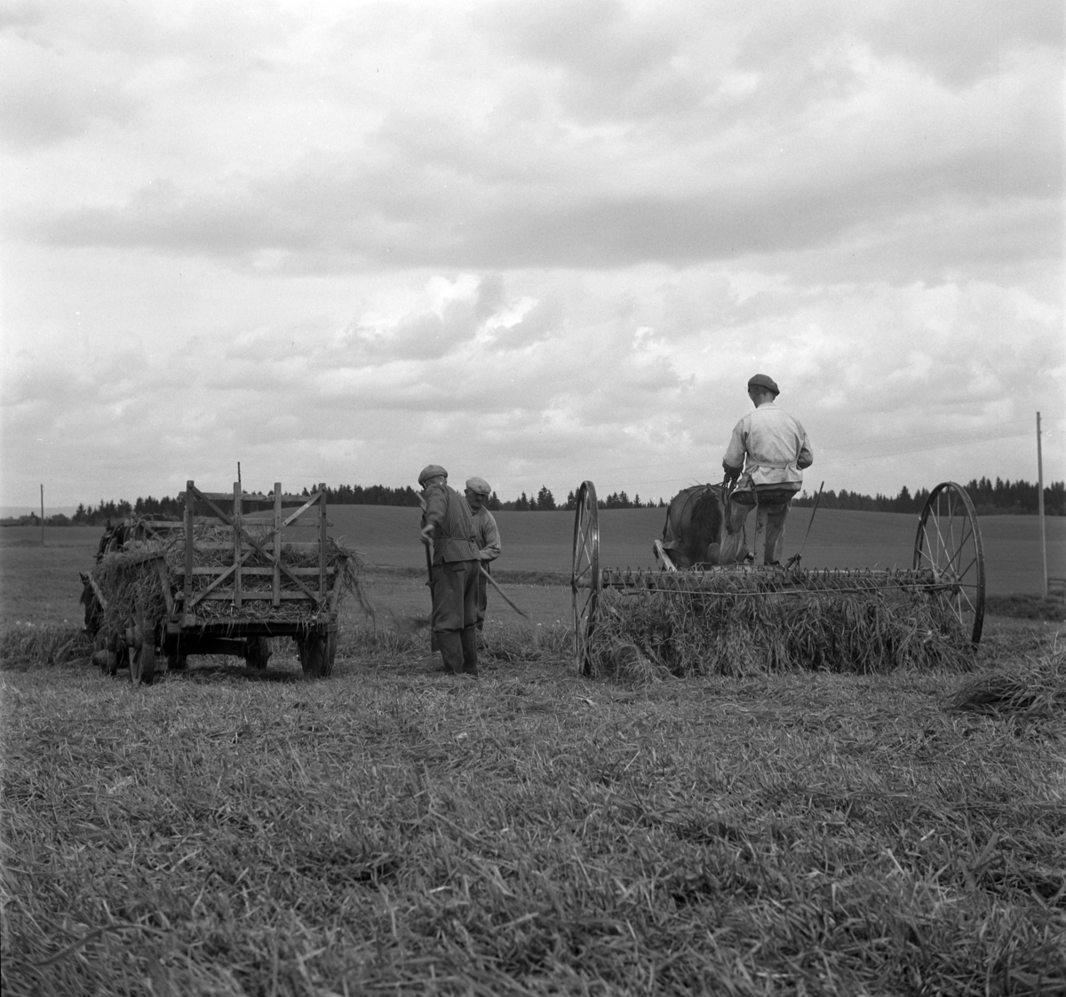 Anno Domkirkeodden, HØYONN, INGOLF ANDERSEN KJØRER HEST MED HØYRIVE, GRAS TIL SILOLEGGING, FOKHOL GÅRD,