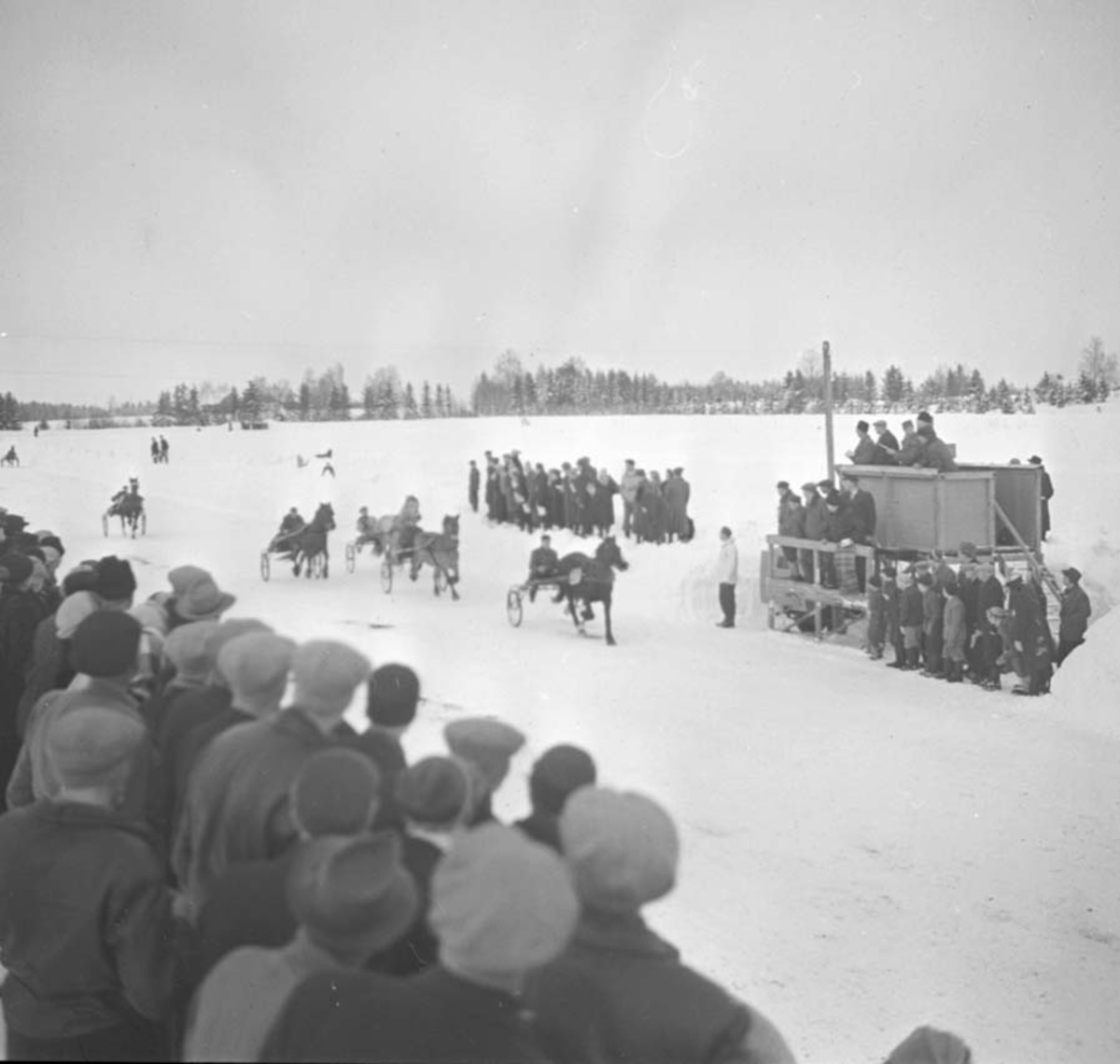 Anno Domkirkeodden, TRAVLØP, TILSKUERE, FINSTAD, VINTER