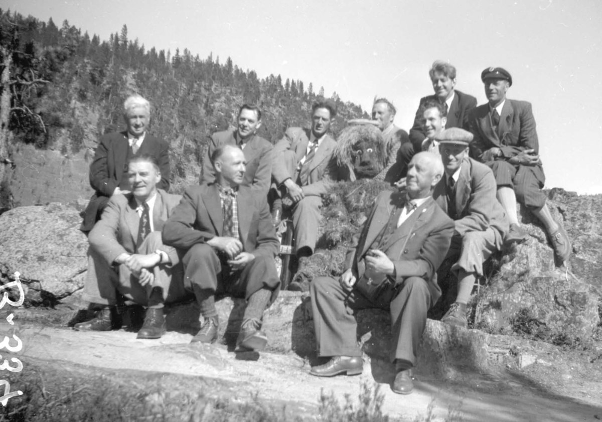Anno Domkirkeodden, GRUPPE: 11, BEFARING, TUR, VEDSTABEL, STANGE HERREDSTYRE
