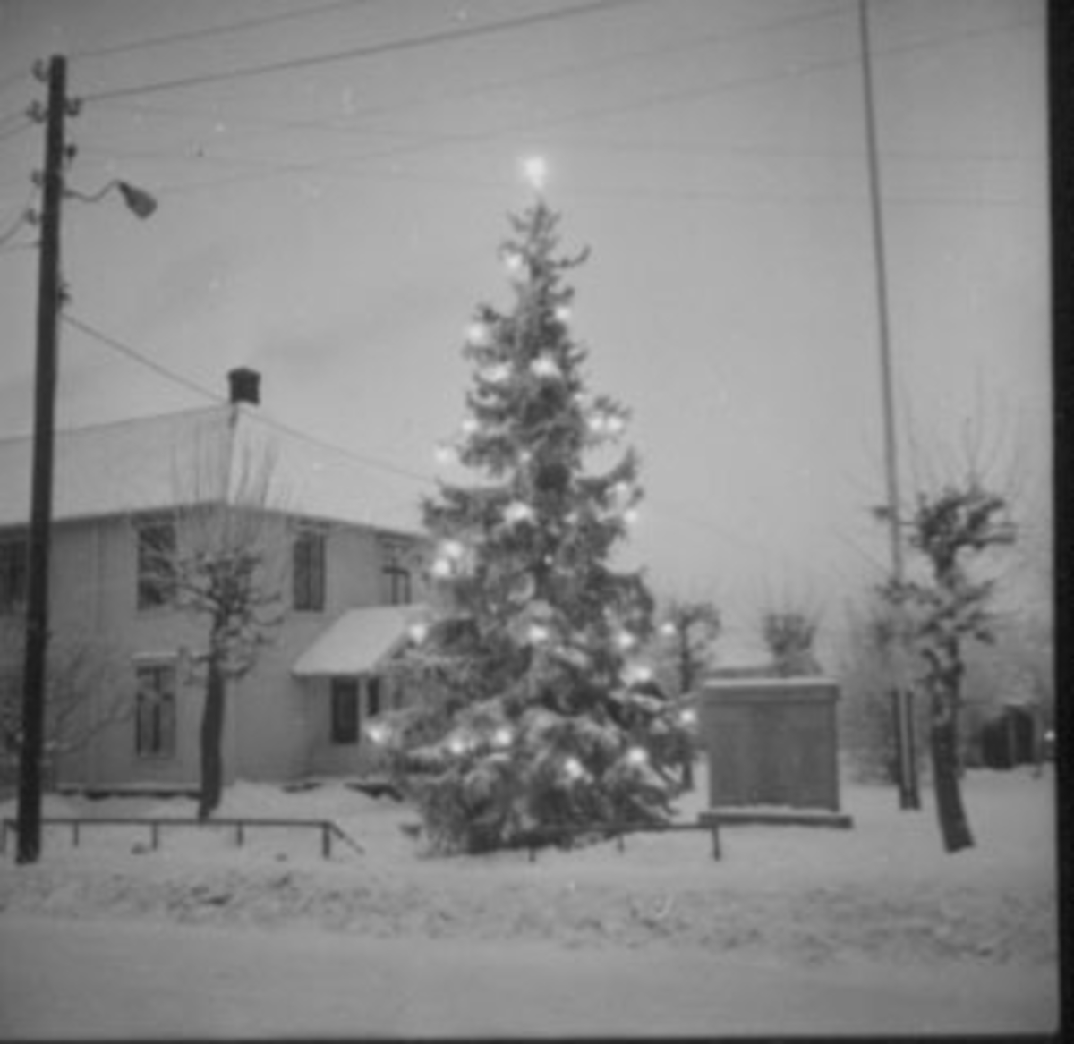 Anno Domkirkeodden, JULEGRAN, MONUMENTPLASSENN, VINTER,
