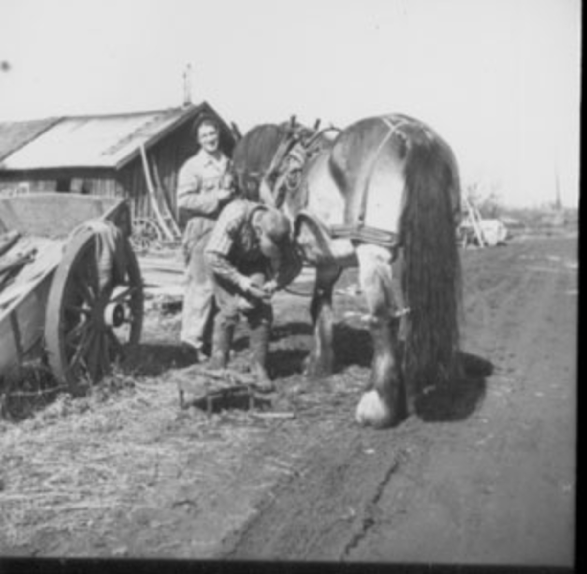 Anno Domkirkeodden, OLSEN, OSKAR OG OLSEN, KRISTIAN SKOR HEST, SMIE, VATERLAND,
