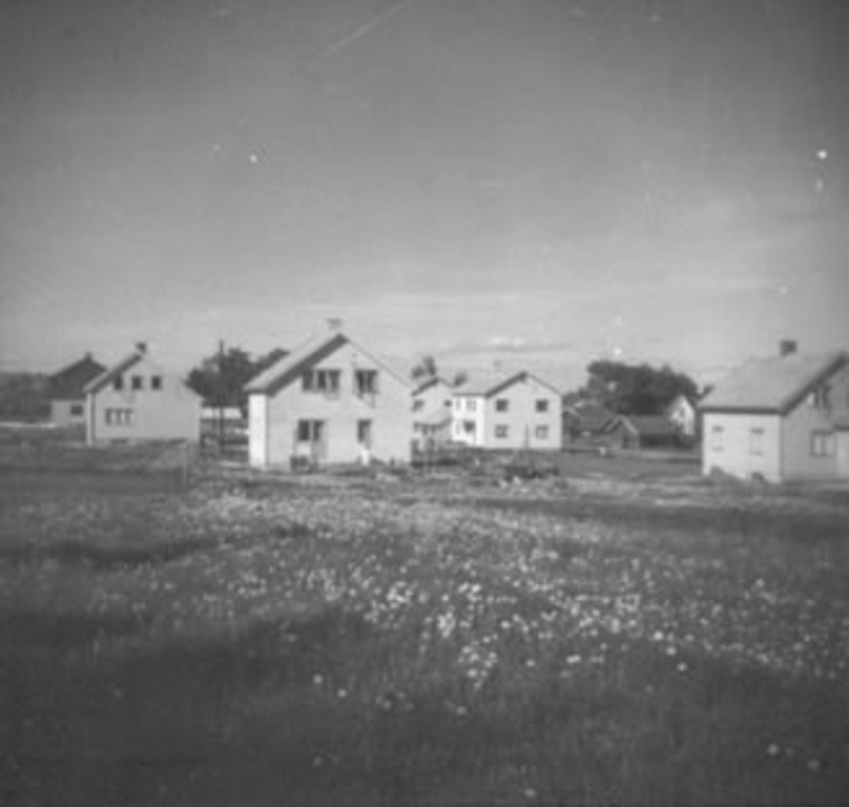 Anno Domkirkeodden, OVERSIKT, BOLIGSTRØK
