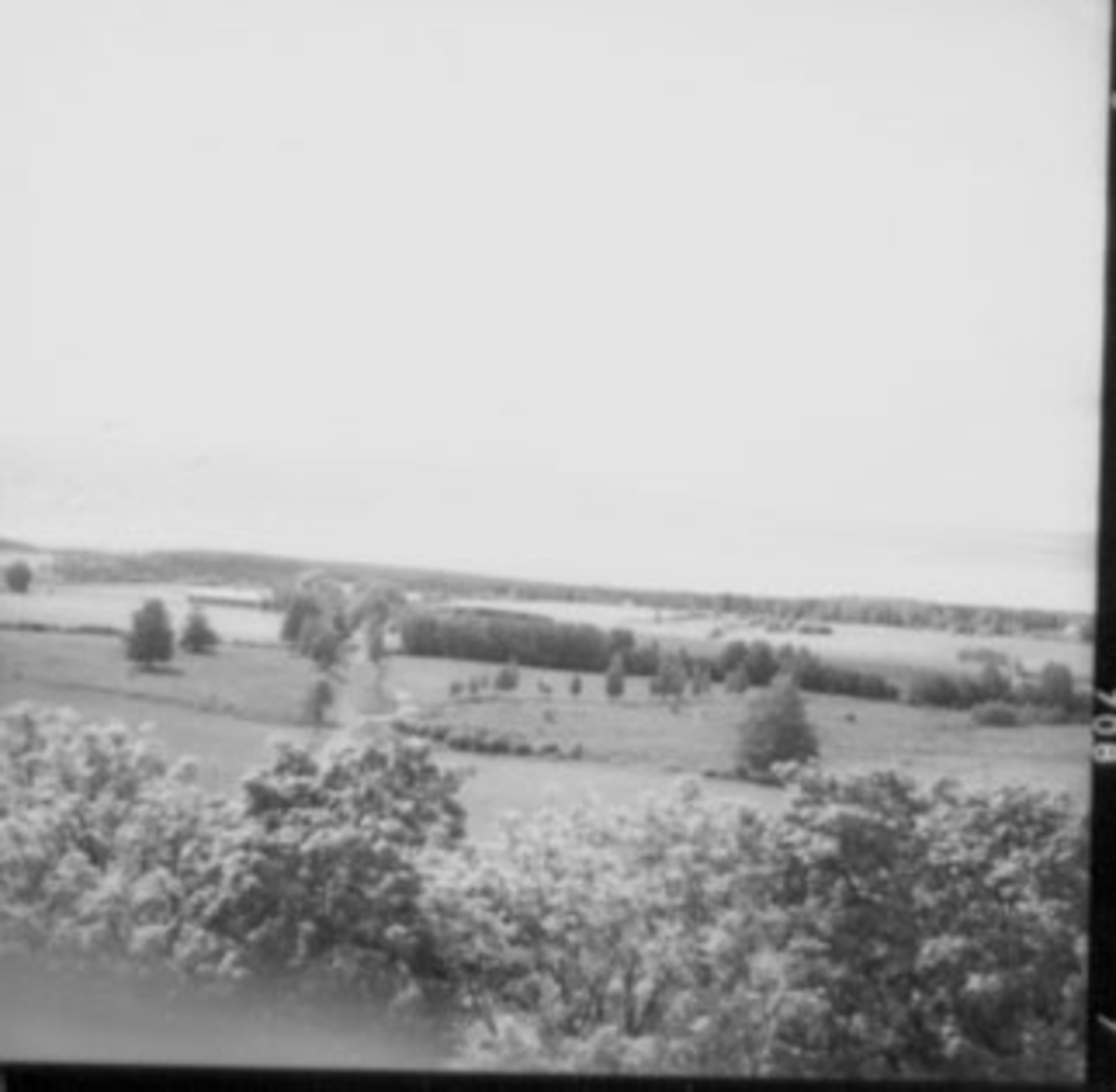 Anno Domkirkeodden, UTSIKT FRA TÅRNET, STANGE KIRKE, MOT MJØSA