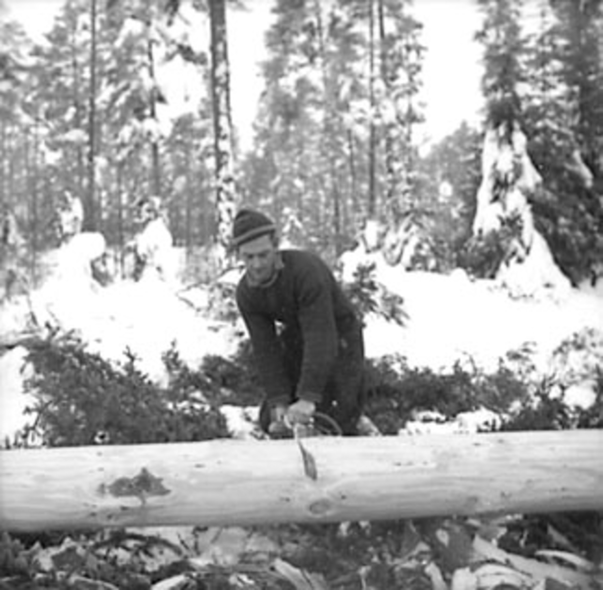 Anno Domkirkeodden, SKOGBRUK, TØMMERMÅLING, VINTER, SNEKKERSVEDRIFTA, PRESTMARKA, STANGE