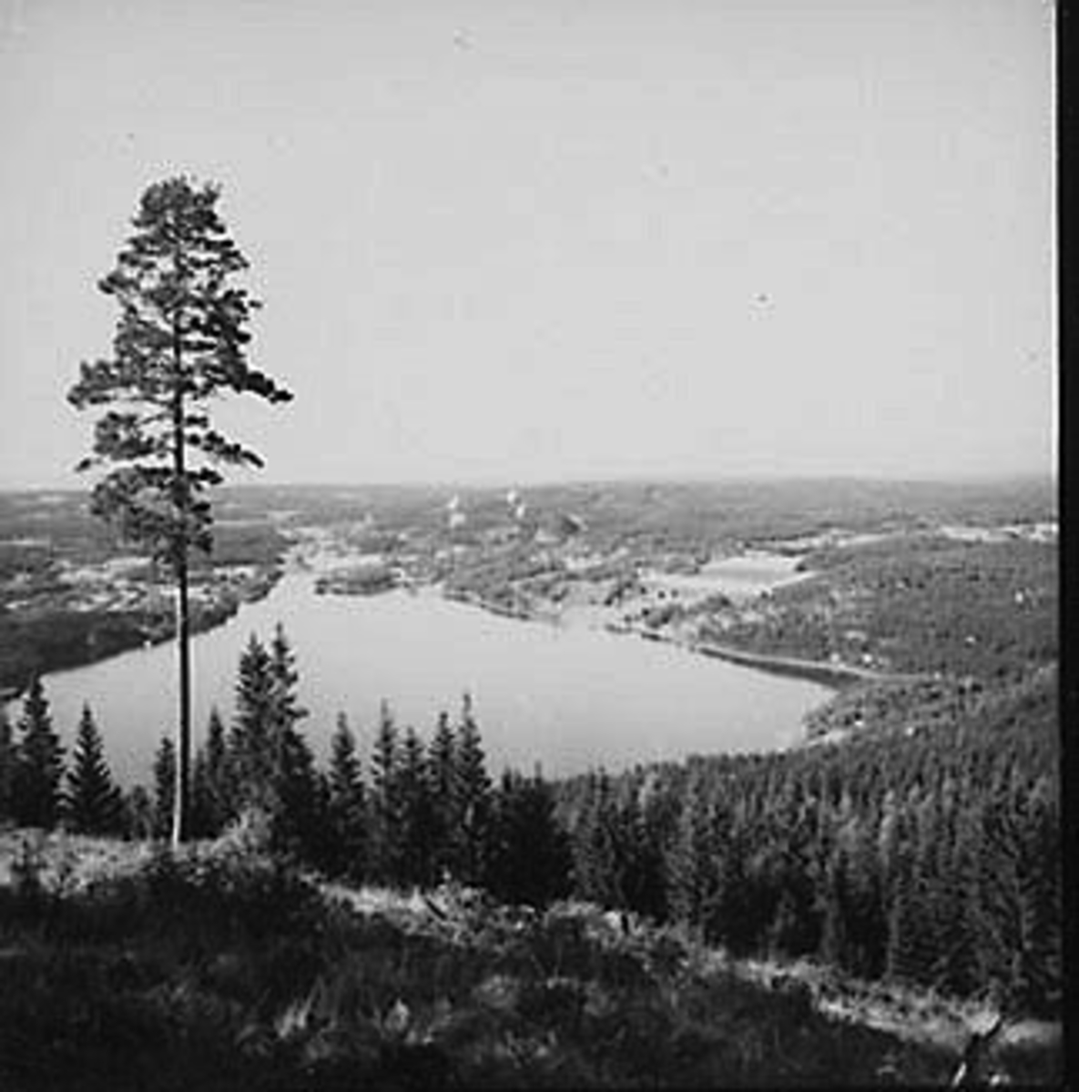 Anno Domkirkeodden, UTSIKT FRA ESPALIA MOT TANGEN