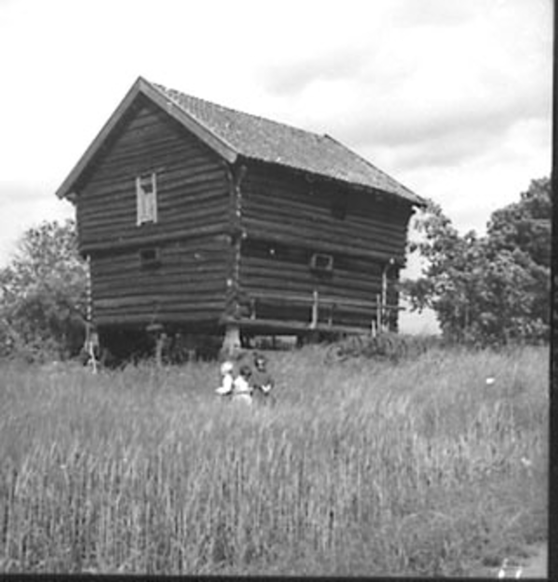 Anno Domkirkeodden, EKSTERIØR: GARDSBRUK, STABBUR, RINGNES GÅRD,