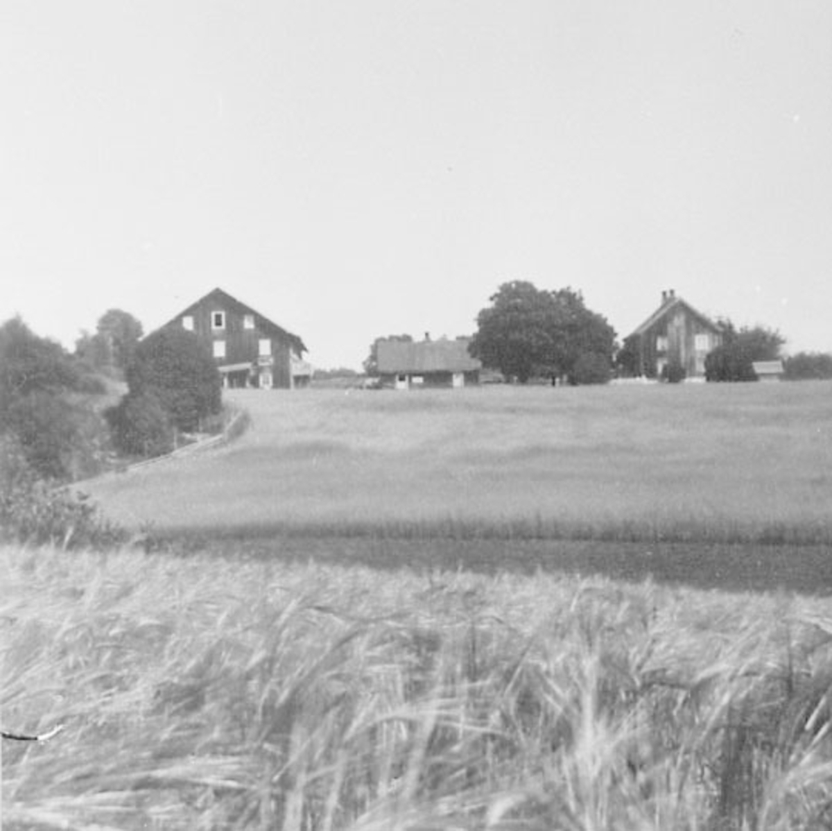 Normann Helger, EKSTERIØR: GARDSBRUK, PETLUND GÅRD, OTTESTAD