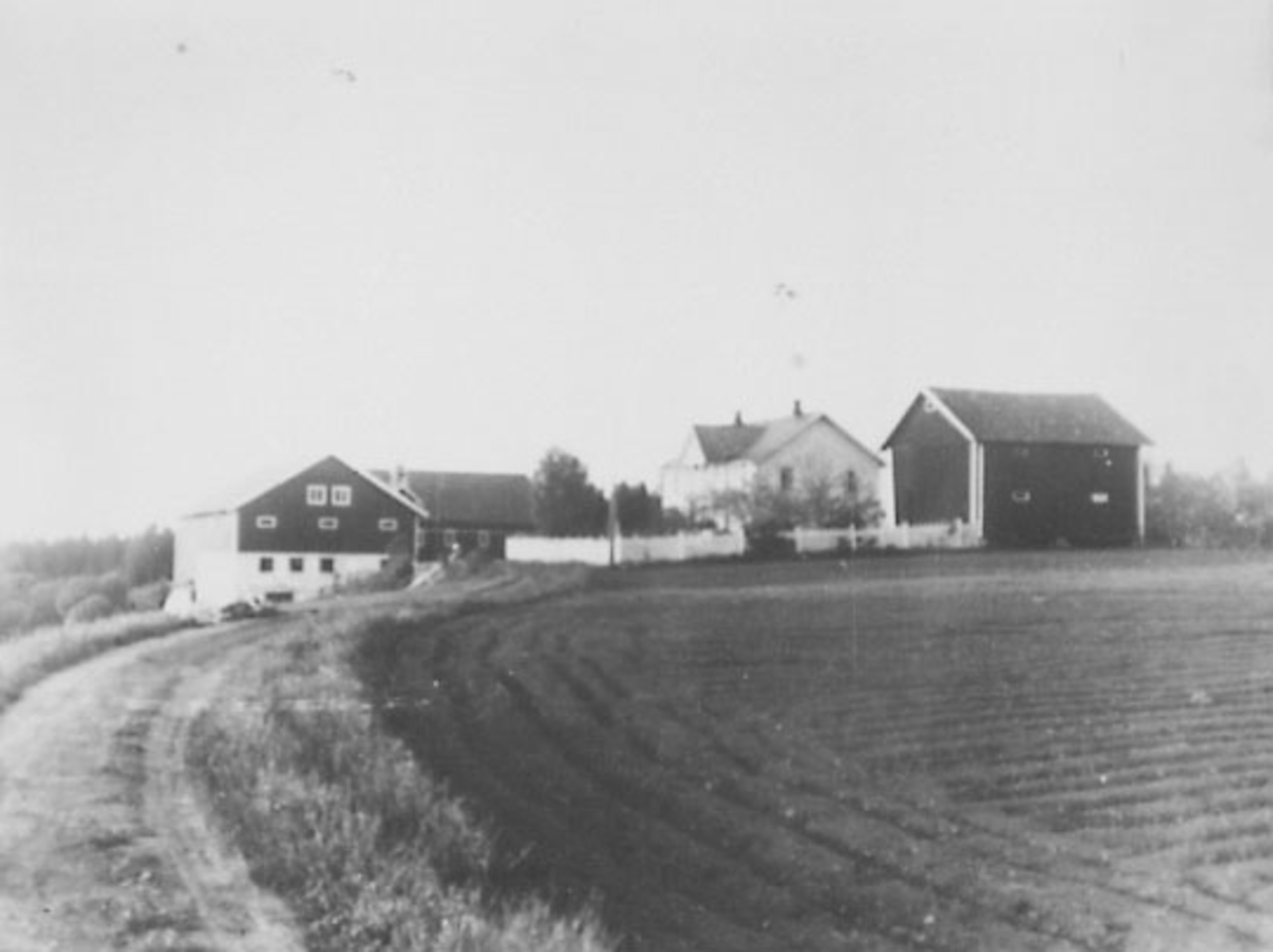 Normann Helger, GARDSBRUK, VÅLEØDEGÅRDEN, VAAL-ØDEGAARDEN.