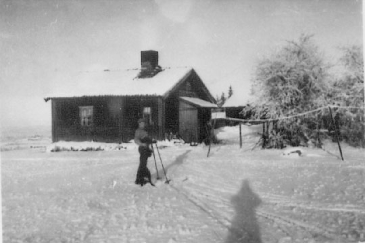 Normann Helger, EKSTERIØR: BALBERG, HUSMANNSPLASS UNDER STOR REE, RE STORE KJERNMYR. /HAUG