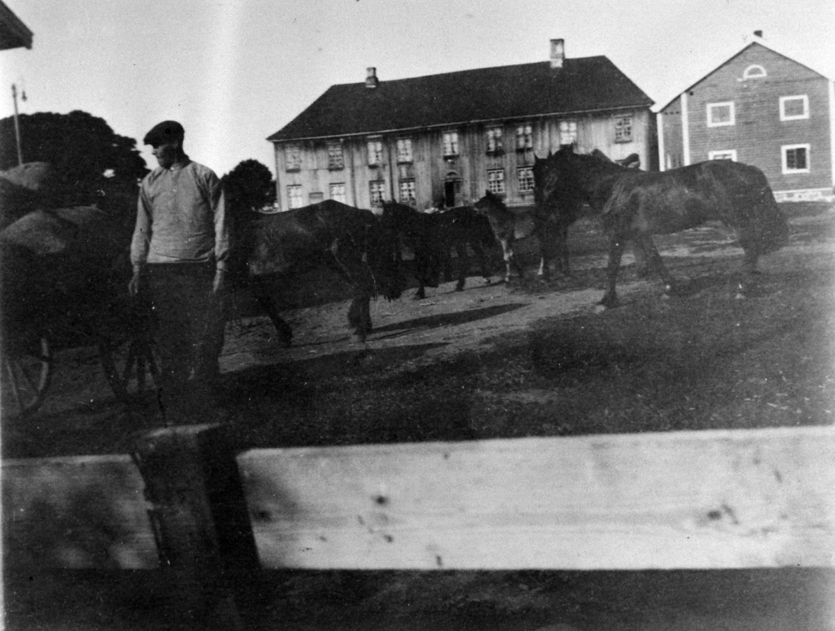 Normann Helger, EKSTERIØR: GARDSBRUK, RINGNES GÅRD, TUN, HESTER, FOLK,