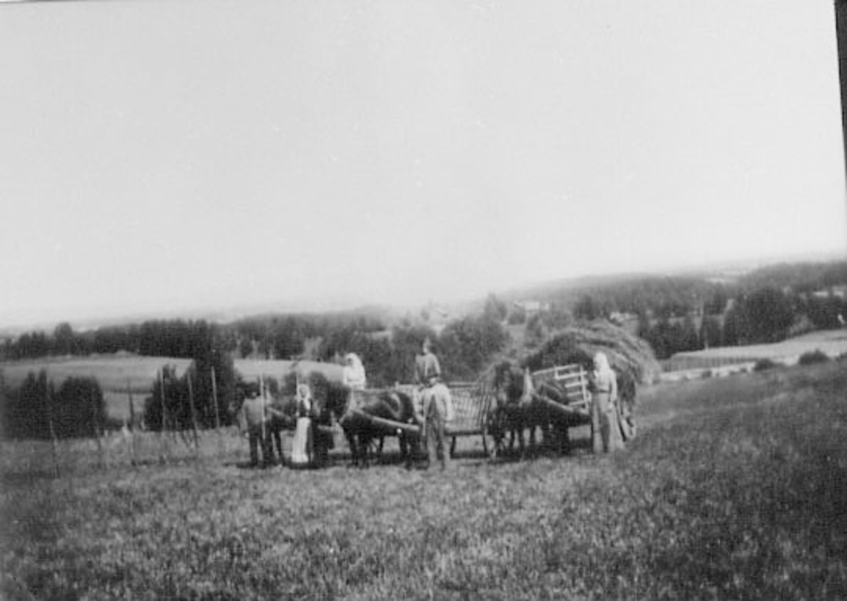 Normann Helger, SLÅTTONN, HØYKJØRING MED HESTER, HØYKJERRER, FOLK, NØTTESTAD, OTTESTAD, , NØTTESTAD NORDRE M. M.