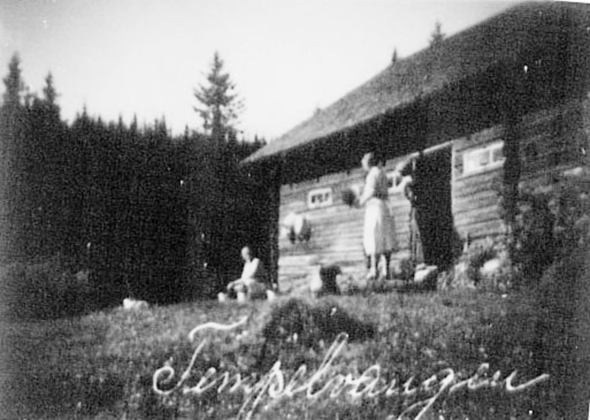 Normann Helger, GRUPPE: 3 BUDEIER, BØTTER, MELKESPANN, EKSTERIØR: TEMPELVANGEN SETER,