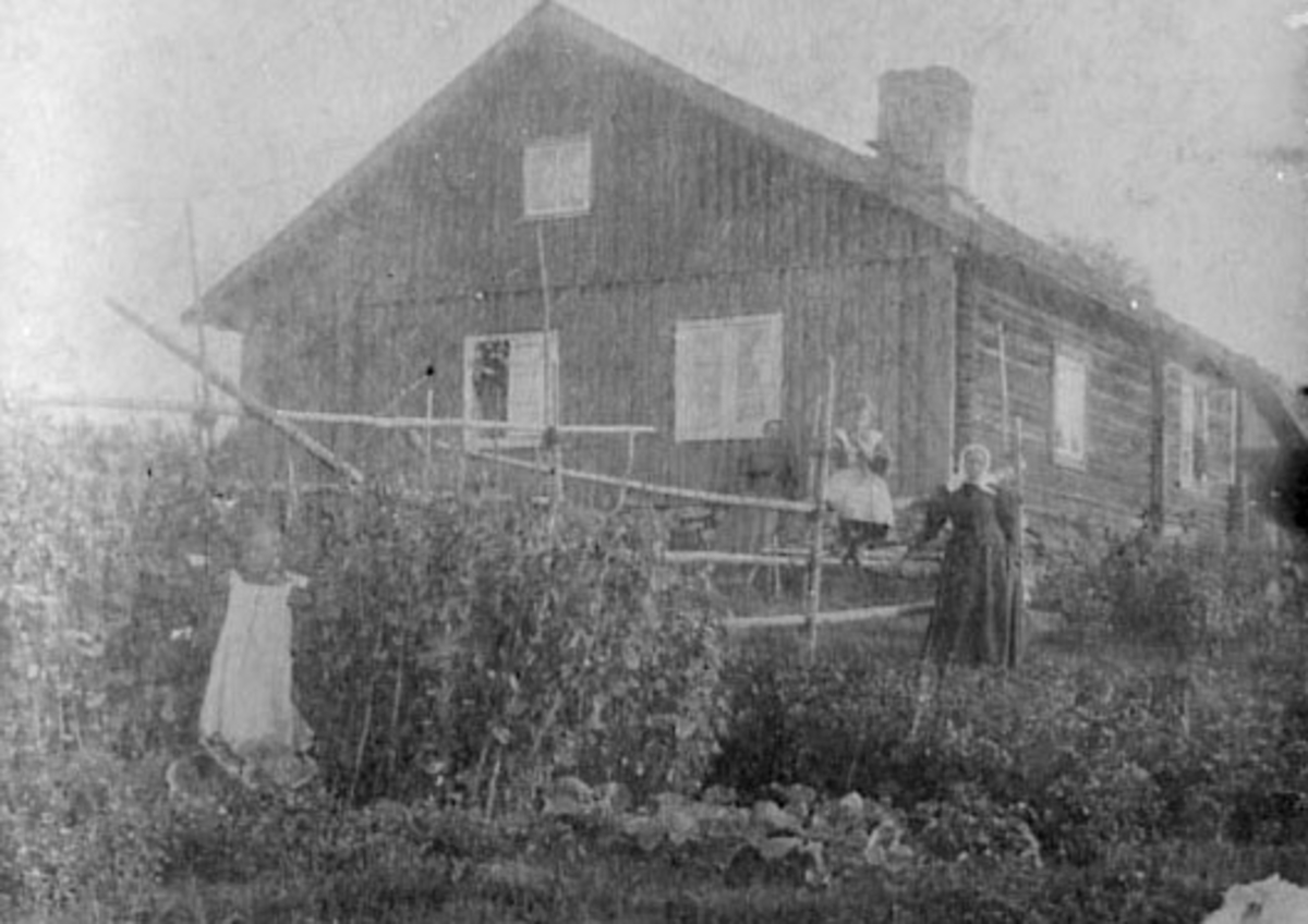 Anno Domkirkeodden, EKSTERIØR: SMÅBRUK, VÅNINGSHUSET, STORSVEEN, GRUPPE: 4 FORAN, VALLSET