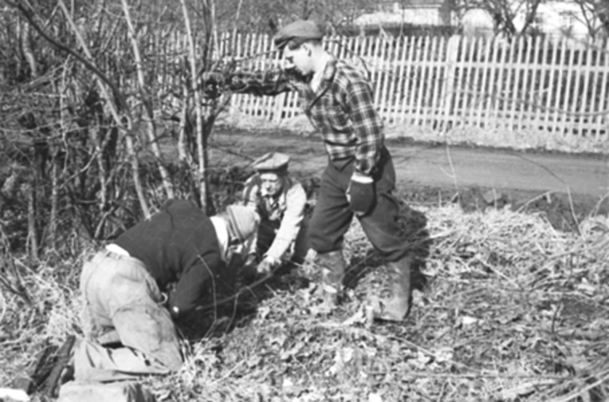 Anno Domkirkeodden, DUGNAD, FOLK ARBEIDER,