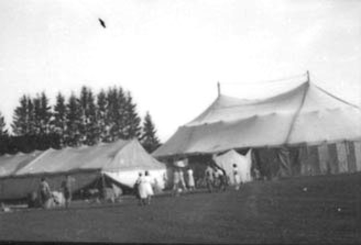 Anno Domkirkeodden, SIRKUSTELT, GAMLE IDRETTSPLASSEN