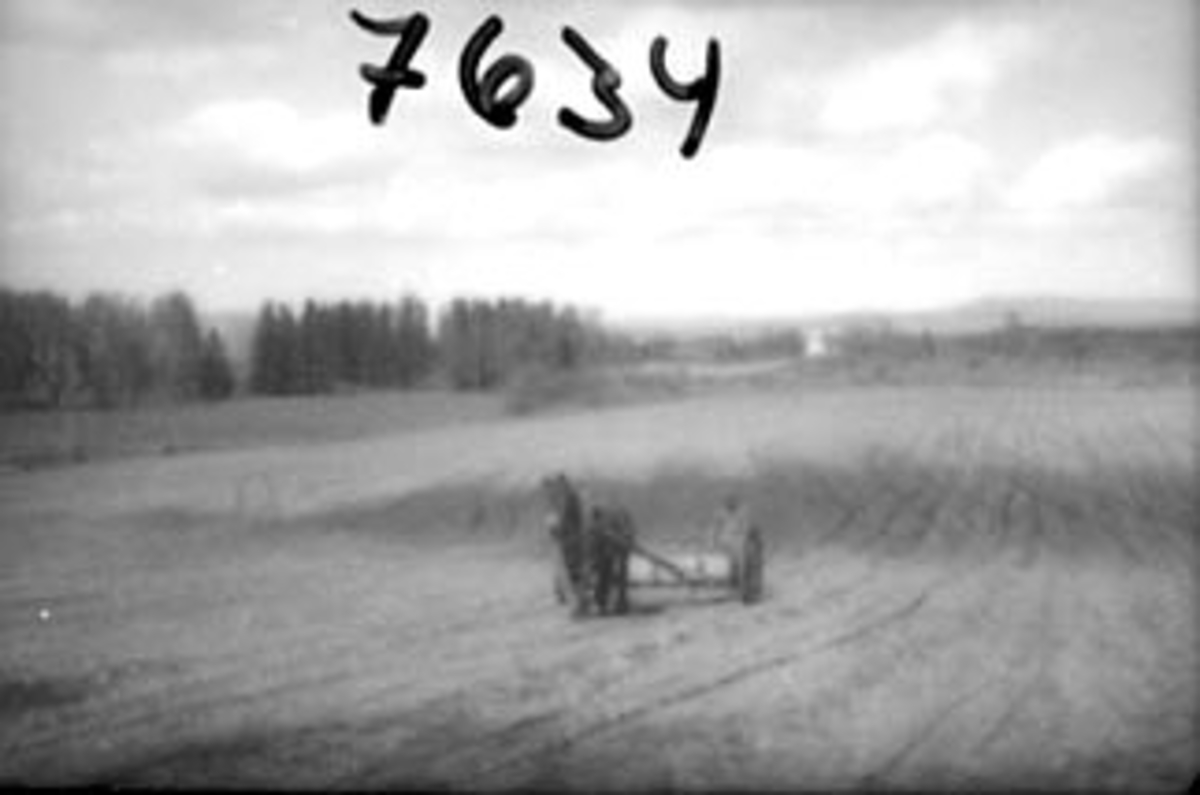 Anno Domkirkeodden, VÅRONN, SÅING MED HEST