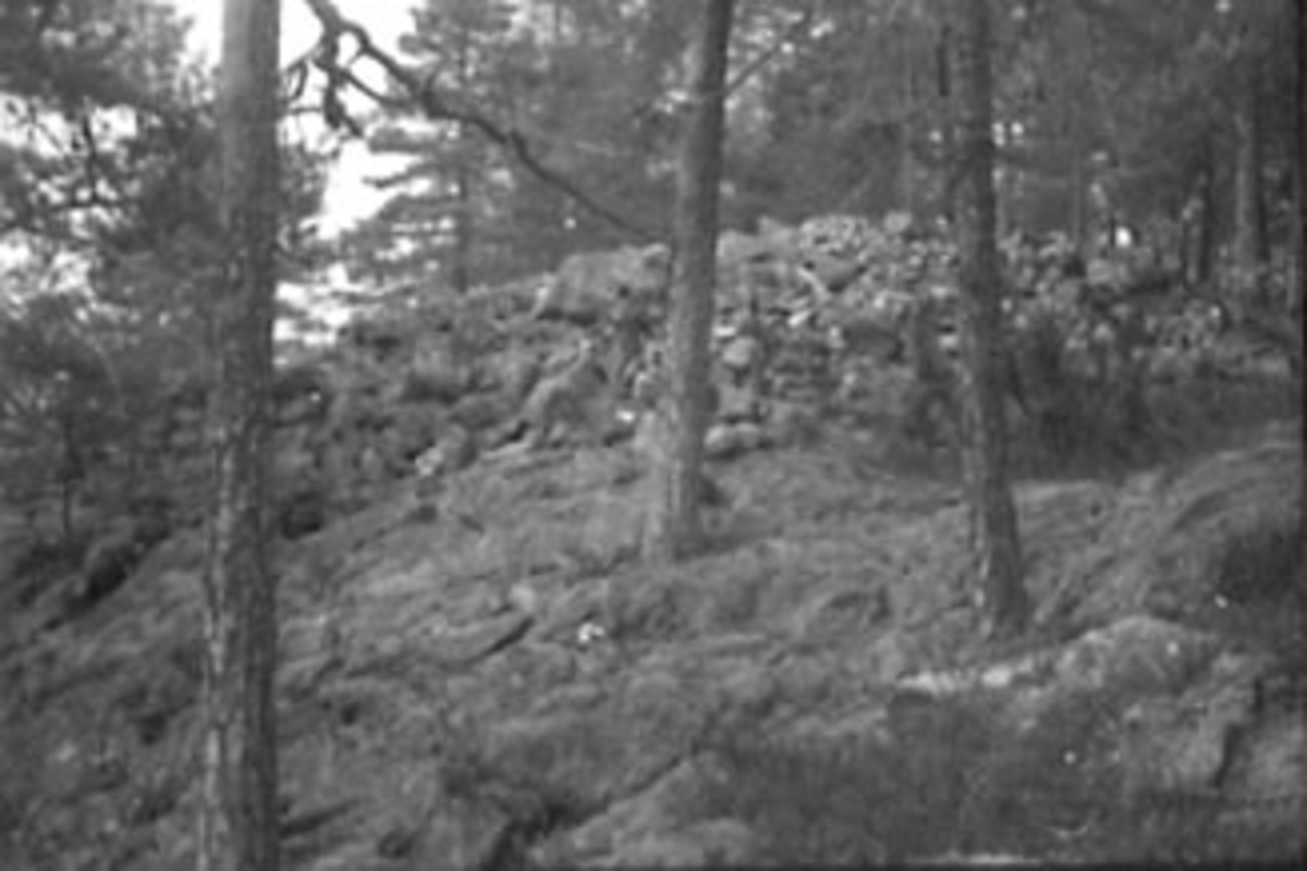 Anno Domkirkeodden, FORTIDSMINNE, FORNMINNE, GRAVRØYS, SOTENODDEN, TANGEN