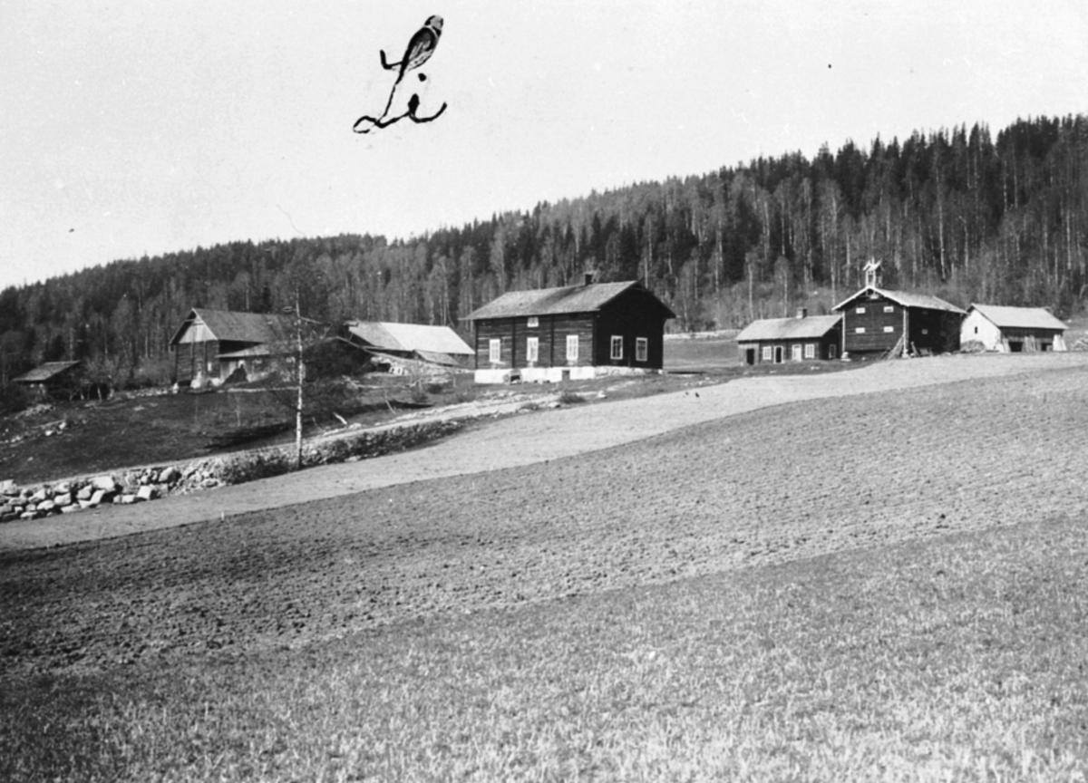 Anno Domkirkeodden, EKSTERIØR: GARDSBRUK, LI GÅRD