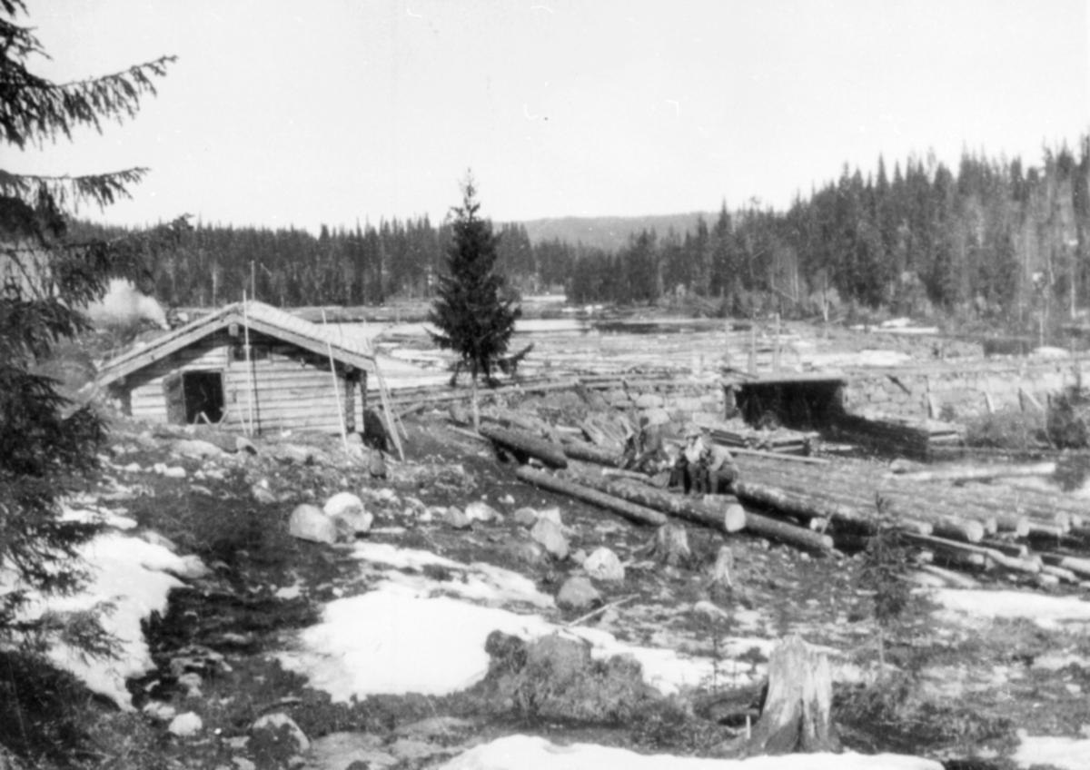 Anno Domkirkeodden, EKSTERIØR: TØMMERKOIE, DEMNING, GÅSVASDALEN ? ROMEDAL