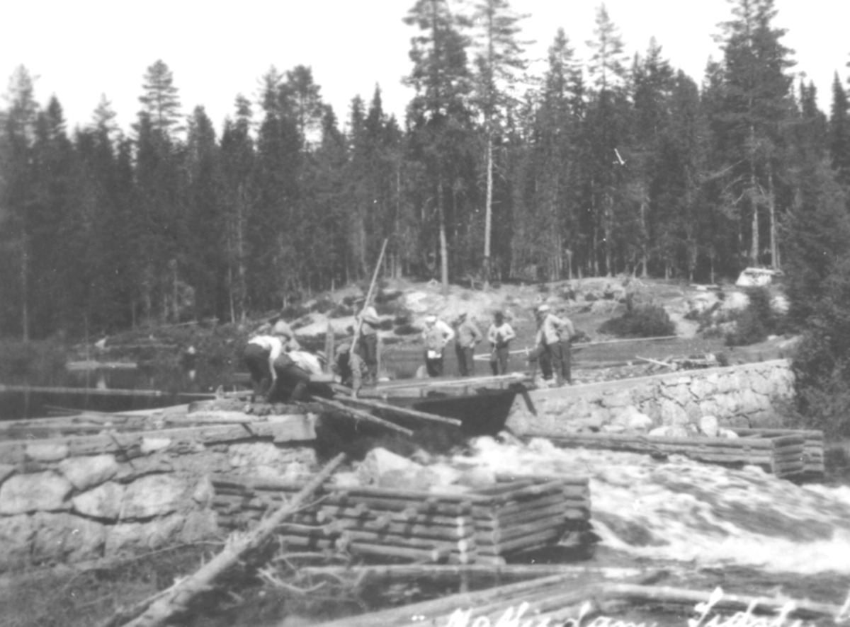 Anno Domkirkeodden, FLØTERLAG, DEMNING, MATTISDAMMEN, SISTE LUKE, ROMEDAL ALLMENNING,