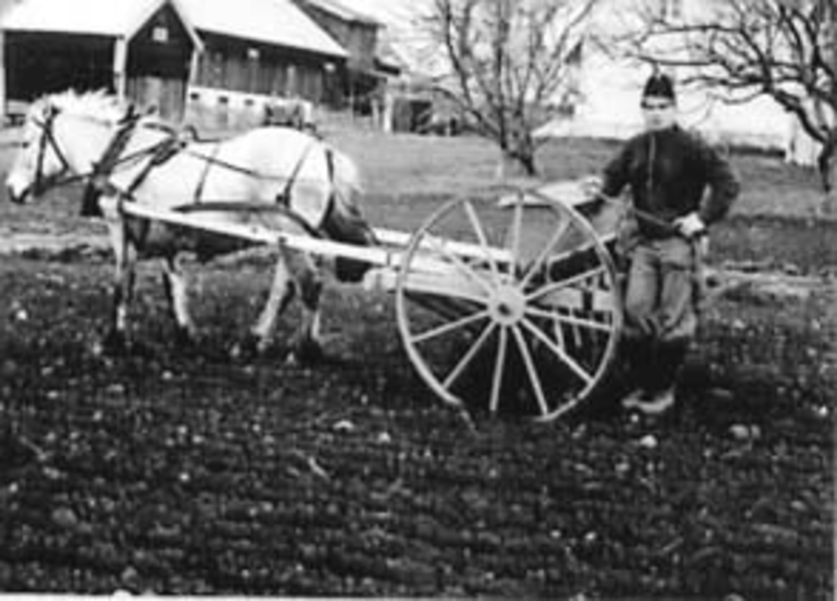 Anno Domkirkeodden, HEST MED SÅKASSE, AADALSBRUK, KJØPT 1909, ASBJØRN FILSETH SÅR BYGG, FILSET