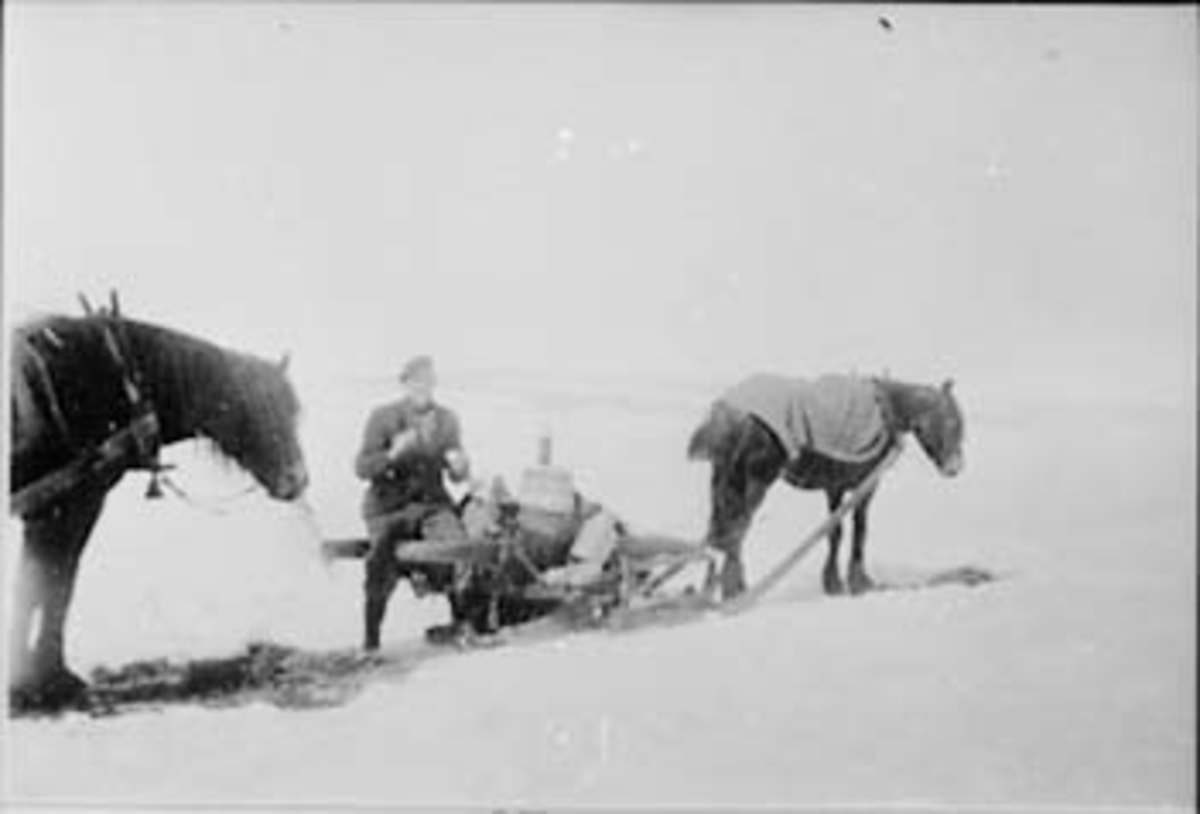 Anno Domkirkeodden, HJEMTUR FRA TØMMERKJØRING OVER ISEN, HEST MED LASS, HELGE LARSEN PÅ LASSET, VINTER, NØTTESTAD SØNDRE