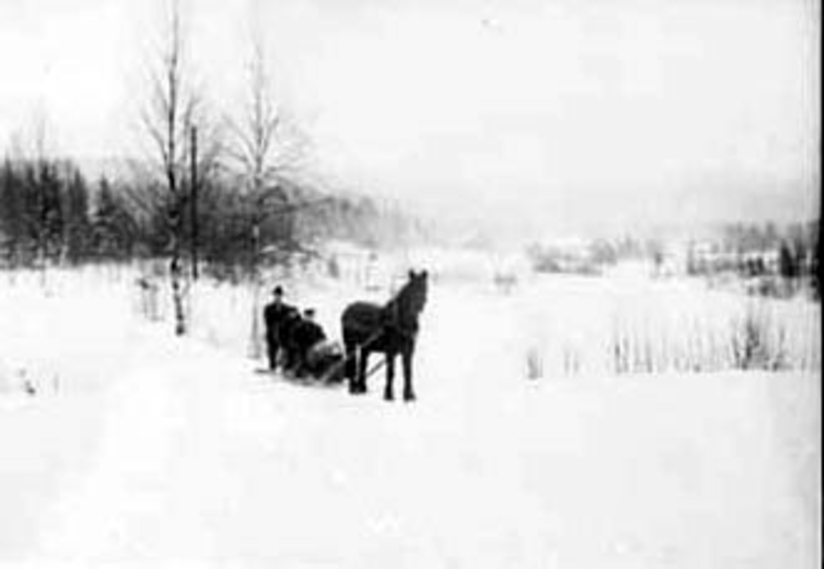 Anno Domkirkeodden, HEST MED SLEDE, GRUPPE: 3 MENN I SLEDEN: ANTON BJØLSETH, ALF BJØLSETH, AKSEL BJØLSETH, I BAKGRUPPE: MALUNGEN, VINTER, VALLSET