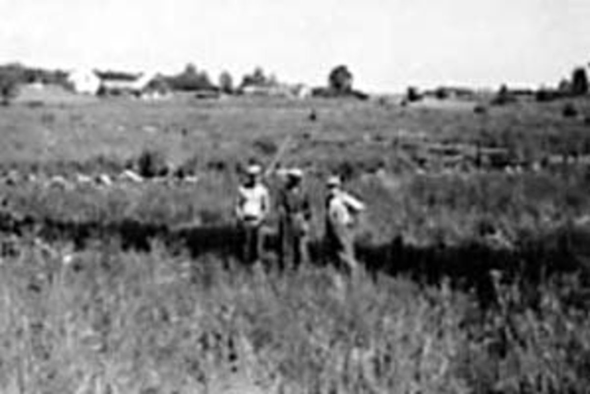 Anno Domkirkeodden, GRØFTING, GRUPPE: 3 GRØFTEGRAVERE, FRA VENSTRE: MAGNUS VEEN, LARS BAKKE, OSKAR HAUGE, RØRLEGGING PÅ KJEMSTAD, I BAKGRUNNEN: ÅBAKKEN OG SYDHAGEN