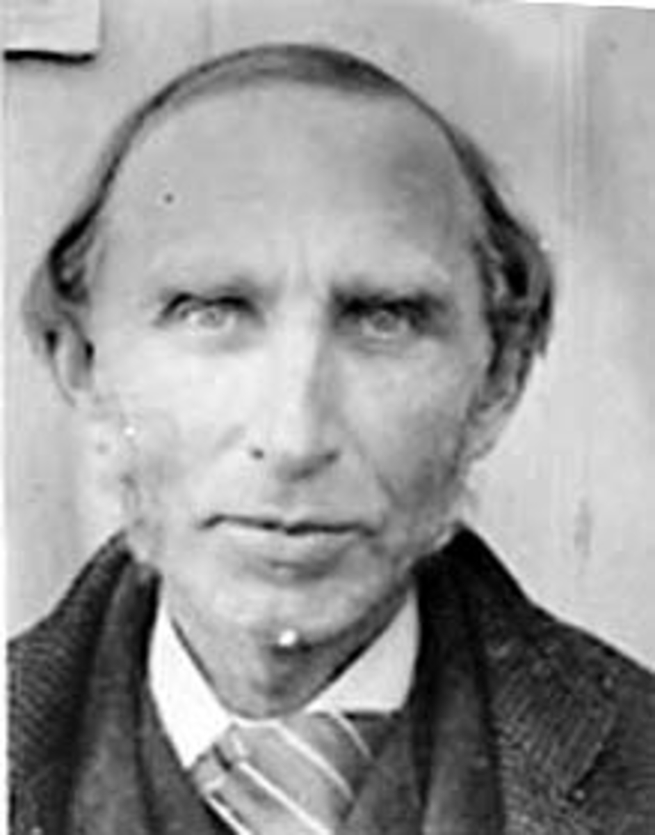 Anno Domkirkeodden, PORTRETT: CHRISTEN N. RINGNÆS, STANGE, FØDT: 10. 05. 1835 - DØD: 01. 10. 1910, VENSTREPOLITIKER