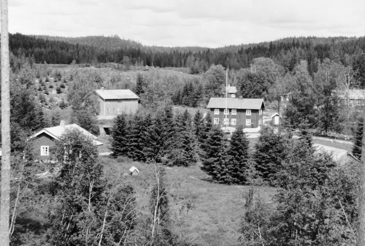 Anno Domkirkeodden, GAMMELSAGA I STANGE ALLMENNING, SAGBRUK PÅ ESPA
