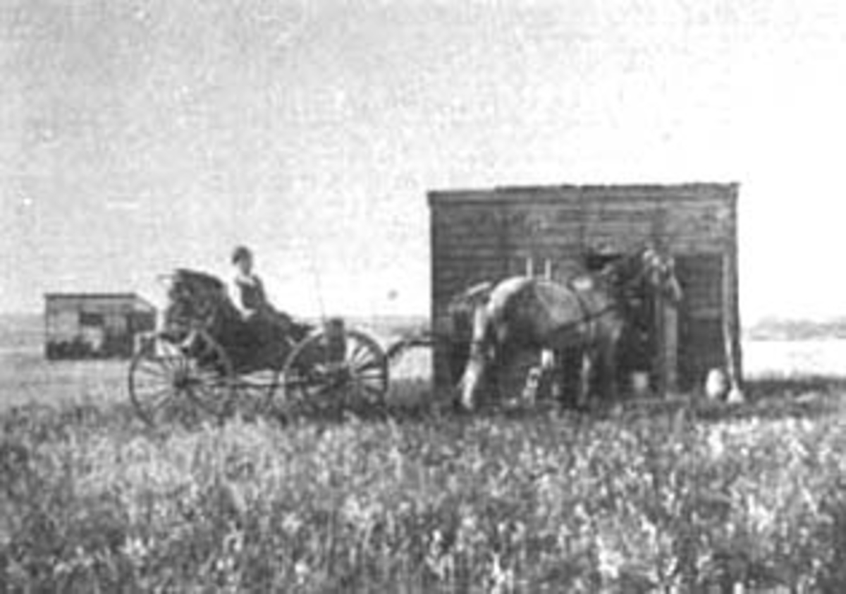Normann Helger, EKSTERIØR: SHANTY, LITEN BOLIG, HEST MED VOGN FORAN, MANN I VOGNA, TEKST: RESIDENSEN, O. P. MUSTADS FARM, NORD DAKOTA, USA, (STANGE)