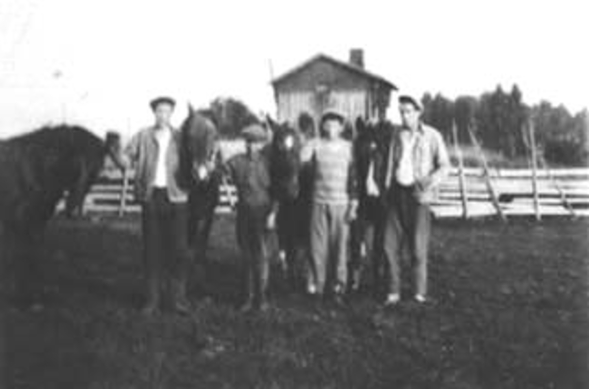 Anno Domkirkeodden, PINNERUD, GRUPPE 4 MED HESTER FRA VENSTRE: ARNE, MAGNUS, KÅRE OG KRISTIAN PINNERUD, FORAN ELTONBAKKEN, ELTONSTUA