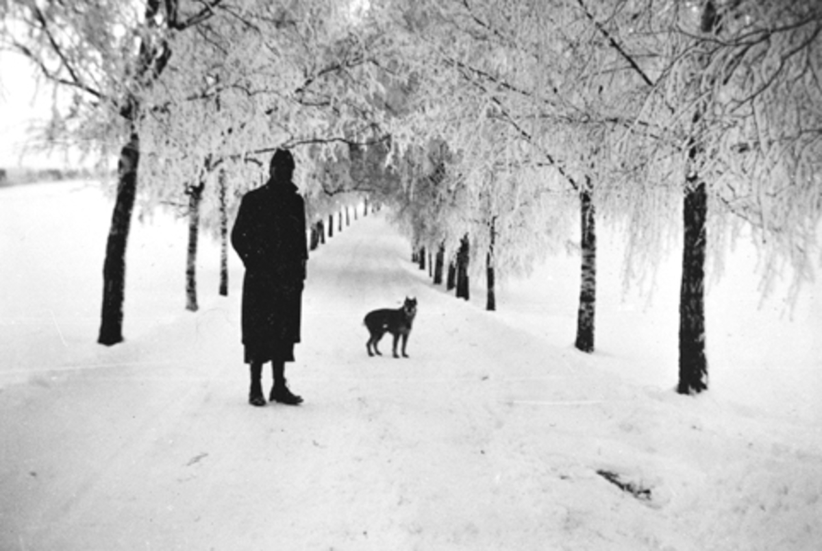 Anno Domkirkeodden, STAUR GARD, ALLEEN, RIMFROST, UKJENT MANN OG HUND. 1935