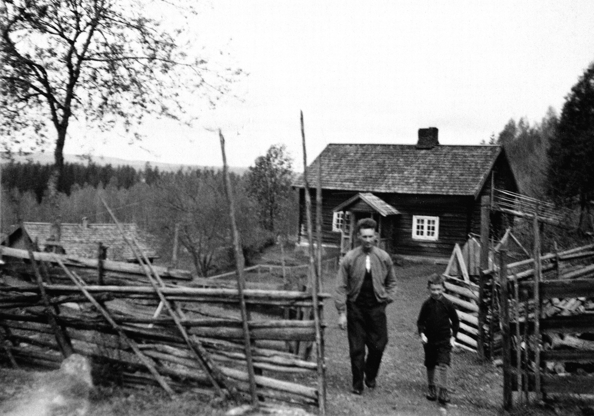 Anno Domkirkeodden, 0417-10501