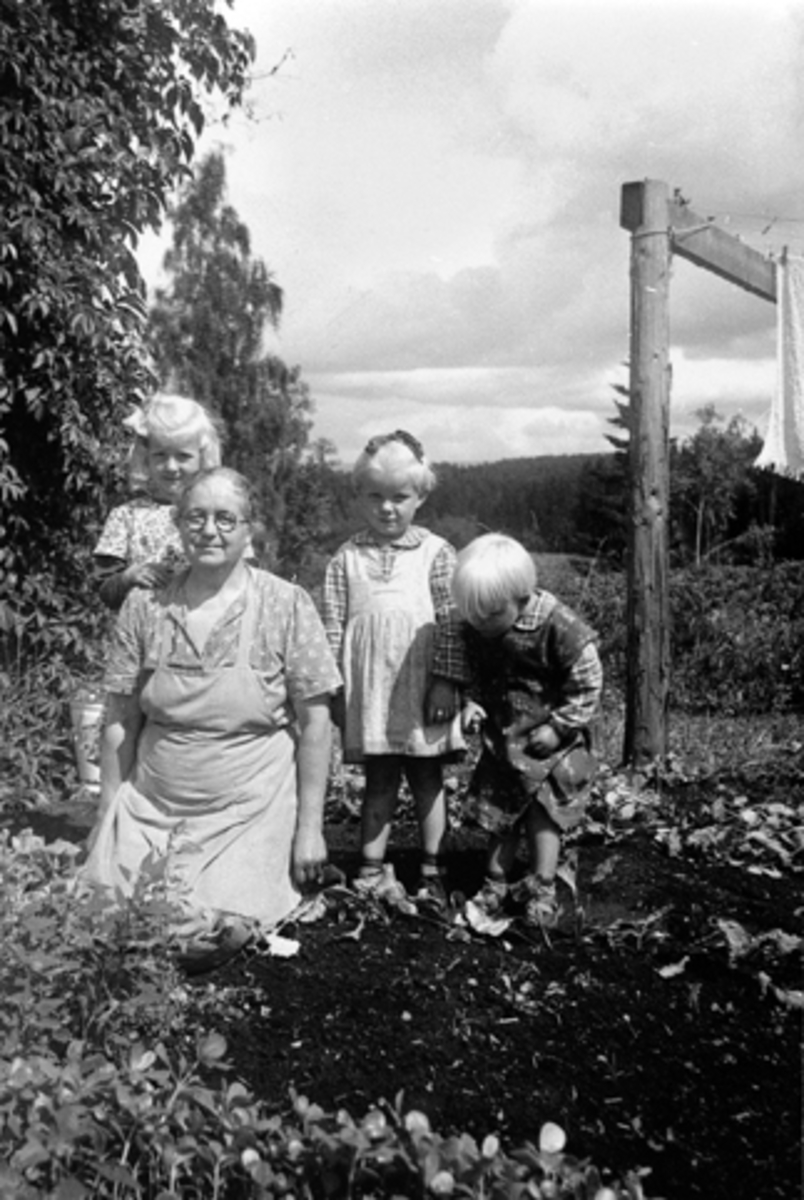 Anno Domkirkeodden, ALIDA FINNANGER MED BARNEBARNA TORHILD, ÅRRID OG EVA, CA 1953