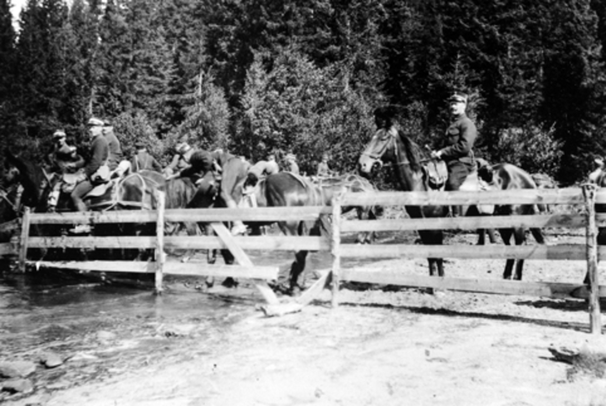 Anno Domkirkeodden, MILITÆRE FRA SKOLEEKSDRADONEN, HESTER, SOLDATER VED BERGSJØEN I STANGE ALMENNING 1919