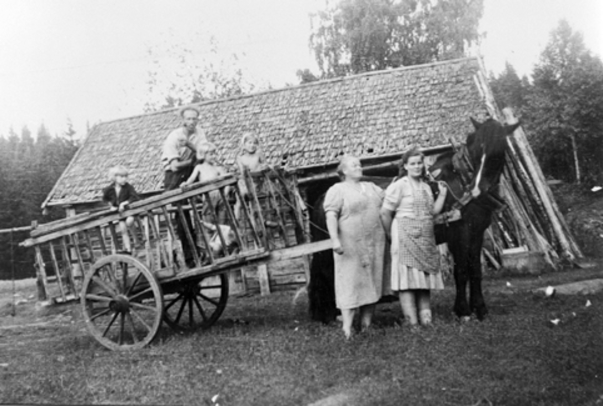 Anno Domkirkeodden, SØRLIA I STANGE PRESTMARK. , SLÅTTONNA I 1947. I HØYVOGNA F. V INGER JOHANNE F. 1943, JOHAN F. 1910, KARIN INGRID F. 1940, BJØRNHILD SYNNØVE F. 1939 OG NEDERST I VOGNA UNNI REIDUN F. 1946, VED HESTEN STÅR ALBERTINE HANSEN OG HENNES DATTER SIGRID,