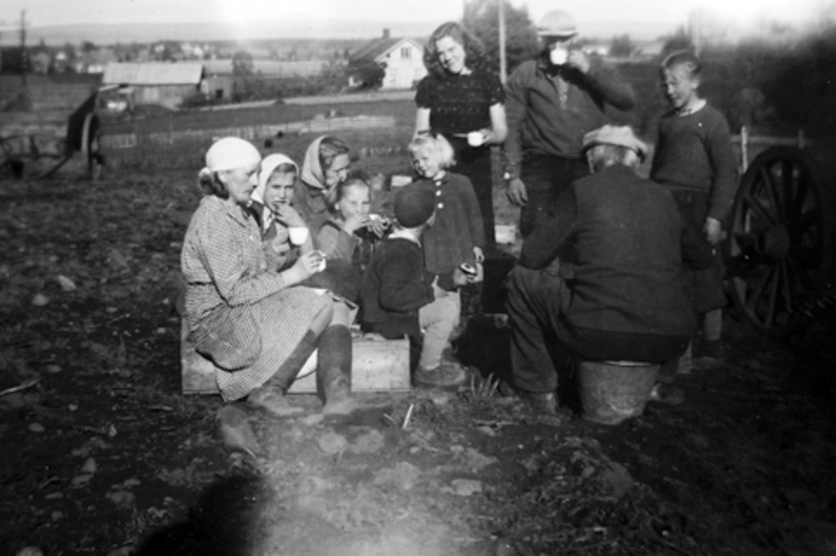 Anno Domkirkeodden, POTETONN I HEGGELUND, STANGE CA. 1949-1950. KAFFEPAUSE, MATPAUSE. POTETPLUKKERE, ANNA BLACHECK, SOLVEIG NIKOLAISEN, ANNE MARIE HEGGELUND, UKJENT, ANNI PEDERSEN, ASTRID. . . ?, EIVIND HEGGELUND, JOHAN HEGGELUND, PAUL HEGGELUND,