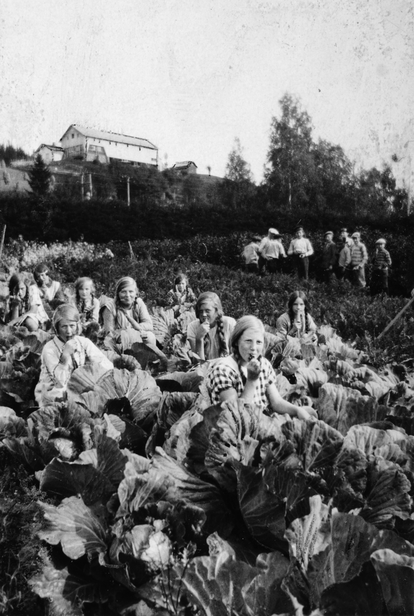 Ukjent, Åsmarka skole i Ringsaker. Skoleelver i skolehagen, ca. 1925. Grunnlegger av skolehagen var lærer Harald Mangerud