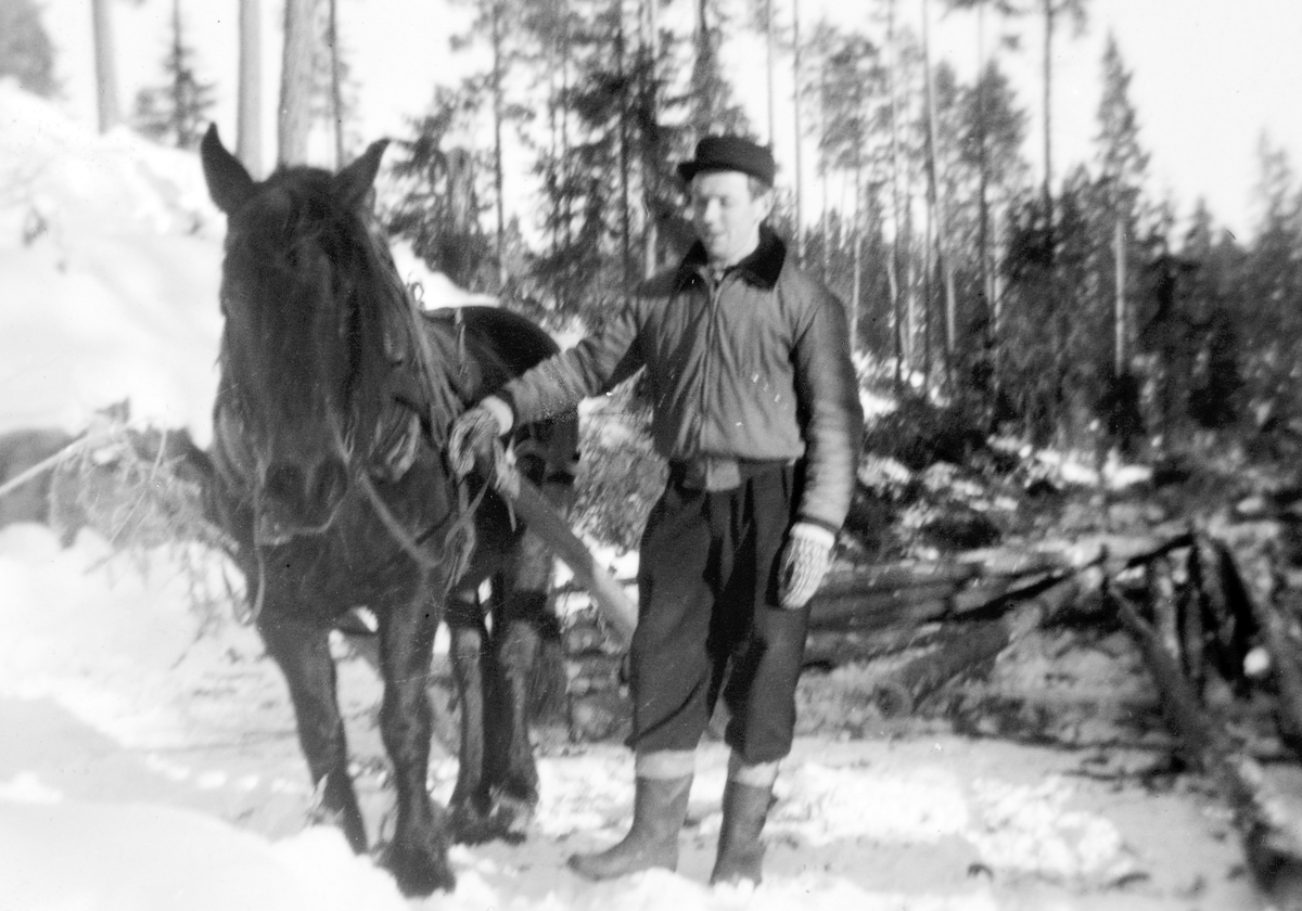 Ukjent, Olaf Lundby lunner tømmer i Prestmarka, Stange. Ca. 1955. Skogsarbeider. Tømmerkjøring.