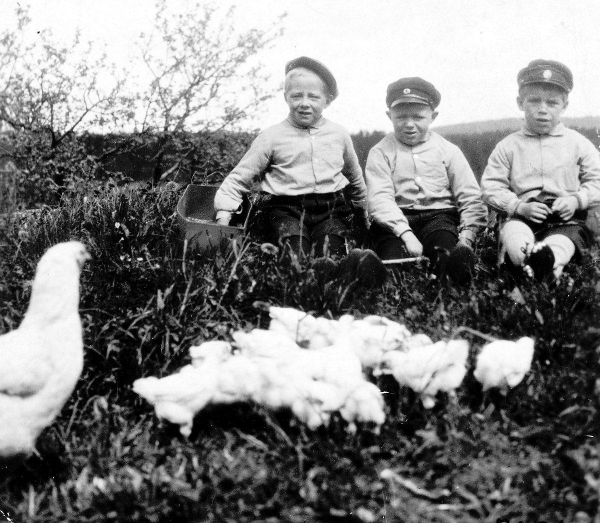 Ukjent, F. v Per Lysgaard, Steinar Lysgaard og Steinar Maasjø. 1929. Mater høner. Barn.